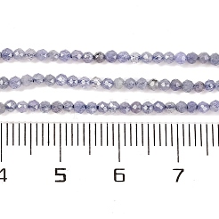 Natürliche Tansanitblau Perlen Stränge&nbsp;X-G-F770-C04-03