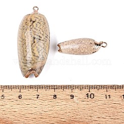 Galvanische natürliche Spiralschalenanhänger&nbsp;SSHEL-Q100-53G