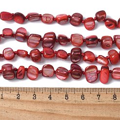 Bohemian Shell Chip 3-lagige Halsketten&nbsp;NJEW-C072-02A