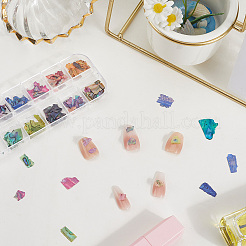 1 juego de 12 pepitas de rejilla de concha de abulón con lentejuelas para decoración de uñas para mujeres y niñas&nbsp;MRMJ-SP0001-07