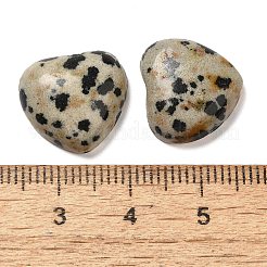 Dalmatien naturel jaspe cabochons&nbsp;G-F776-02A-22