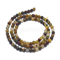 Natürliche Pietersite Perlenstränge&nbsp;G-G792-37B
