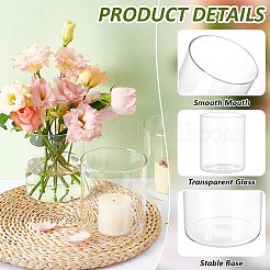 Transparente Hydrokulturvase aus Glas&nbsp;AJEW-WH0348-441A