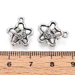 Tibetischen Stil Legierungs Anhänger & Charms&nbsp;TIBE-N013-24AS