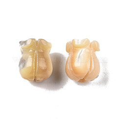 Natürliche Trochidschale / Trochusschalenperlen&nbsp;SSHEL-N003-145B-A02