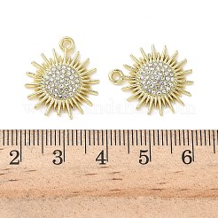 Legierung rhinestone-anhänger&nbsp;PALLOY-P314-05G