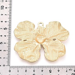 Legierung große Anhänger & Charms&nbsp;PALLOY-N179-89MG