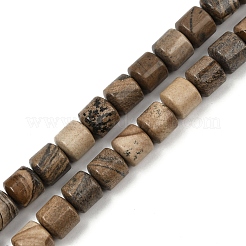 Natürliches Bild Jaspis Perlen Stränge&nbsp;G-G275-D19-10x10mm