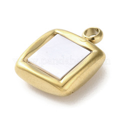 Pendenti in acrilico in acciaio inossidabile 304&nbsp;LS-STAS-M091-02D-G