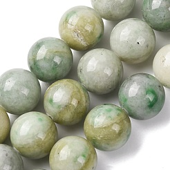 Natürliche chinesische Jade Perlen Stränge&nbsp;G-A310-A02-16mm
