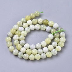Natürliche Sinkiang Jade Perlen Stränge&nbsp;X-G-L538-036-6mm