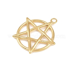 Pendentifs en acier inoxydable 304&nbsp;LS-STAS-Z180-01G-05