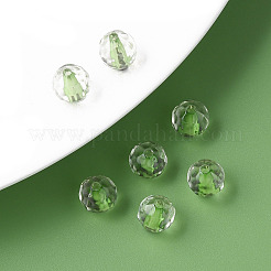 Transparente Acryl Perlen&nbsp;LS-MACR-S373-133-T03