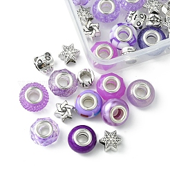 Kit de fabrication de perles européennes en alliage et résine de style tibétain&nbsp;DIY-FS0006-78D