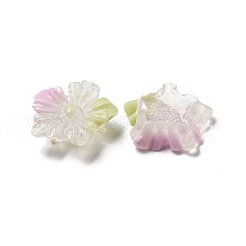 Leuchtende transparente Decoden-Cabochons aus Harz&nbsp;LS-RESI-D013-06D