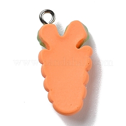 Undurchsichtige Harzanhänger&nbsp;RESI-D055-028P