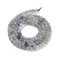 Sfaccettate rotonde fili di perline labradorite naturale&nbsp;G-I156-03-3mm