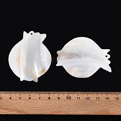 Natürlichen Süßwasser-Shell-große Anhänger&nbsp;SHEL-N038-17