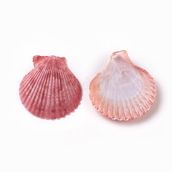 Perle di guscio&nbsp;BSHE-WH0001-04