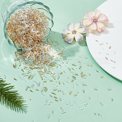 2700 Stück Glasperlen&nbsp;SEED-HY0001-21