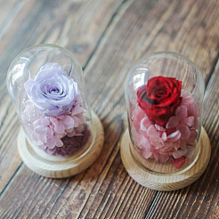 Runde Glaskuppelabdeckung&nbsp;DIY-DR0001-52