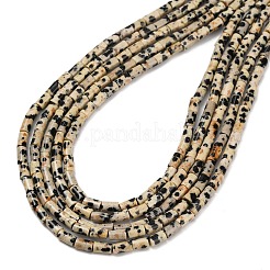 Natur Dalmatiner Jaspis Perlen Stränge&nbsp;G-P600-B01-01