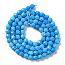 Fili di perline howlite naturale&nbsp;G-C025-02C-10