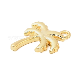 Messing Anhänger & Charms&nbsp;KK-I380-10G