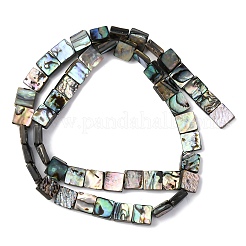 Naturelles Paua brins de perles&nbsp;BSHE-ZX006-07D