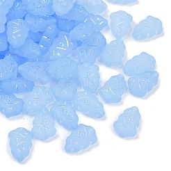 Perles en acrylique transparent mat&nbsp;OACR-P029-04B-04
