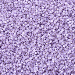 Miyuki Delica Perlen&nbsp;SEED-X0054-DB0629