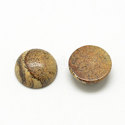Cabochons en jaspe avec motif naturel&nbsp;X-G-R416-16mm-42
