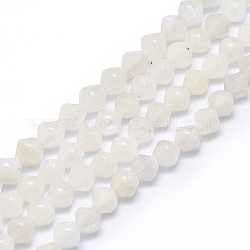Natural Rainbow Moonstone Beads Strands, Faceted, Bicone, 8x7.5mm, Hole: 1mm, about 48pcs/strand, 15.55 inch(39.5cm)