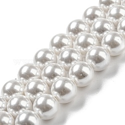 Brins de perles de coquillages naturels galvanisés, perle d'imitation, teinte, ronde, neige, 8mm, Trou: 0.8mm, Environ 52 pcs/chapelet, 15.94 pouce (40.5 cm)