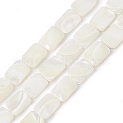 Chapelets de perles de coquille de trochid / trochus coquille, rectangle, 16x12x3.5mm, Trou: 0.7mm, Environ 24 pcs/chapelet, 15.43 pouce (39.2 cm)
