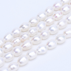 Fili di perle di perle d'acqua dolce coltivate naturali di grado aaa, riso, bianco floreale, 5~6x4~4.5mm, Foro: 0.8 mm, circa 68pcs/filo, 13.7 pollice