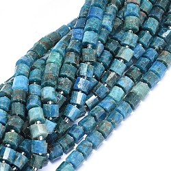 Chapelets de perles en apatite naturelle, facette, colonne, 7.5~8x6.5~7mm, Trou: 1.2mm, Environ 46 pcs/chapelet, 15.6~15.9 pouce (39.4~40.5 cm)