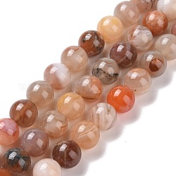 Chapelets de perles en agate naturelle du Botswana, ronde, 10mm, Trou: 0.9mm, Environ 40 pcs/chapelet, 15.75 pouce (40 cm)