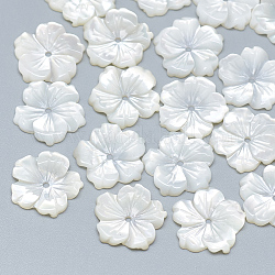 Perles de coquillage blanc naturel, perles coquille en nacre, fleur, couleur de coquillage, 13.5x14x2mm, Trou: 1mm