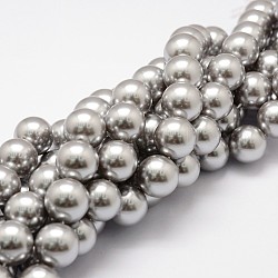 Fili di perline con guiscio, grado a, tondo, grigio, 10mm, Foro: 1 mm, circa 38pcs/filo, 15.5 pollice