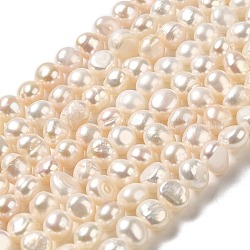 Hebras de perlas de agua dulce cultivadas naturales, dos lados pulidos, grado 3a+, PapayaWhip, 4.5~5x6~6.5x4.5~5mm, agujero: 0.6 mm, aproximamente 73~75 pcs / cadena, 14.84 pulgada (37.7 cm)