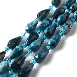 Chapelets de perles en apatite naturelle, facette, larme, 12~16.5x7.5~8.5mm, Trou: 0.8mm, Environ 20~21 pcs/chapelet, 14.96~15.63'' (38~39.7 cm)
