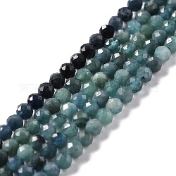 Chapelets de perles en tourmaline naturelle, facette, ronde, 2.5mm, Trou: 0.6mm, Environ 154 pcs/chapelet, 15.55'' (39.5 cm)