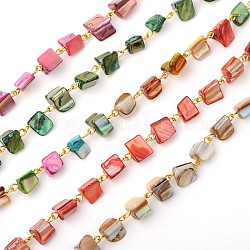 Handmade Sea Shell Beads Chains for Necklaces Bracelets Making, with Iron Eye Pin, Unwelded, Golden, Mixed Color, 39.3 inch