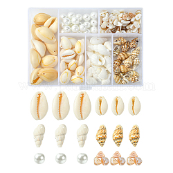 6 Arten natürliche gemischte Muschelperlen, Runde Perlen aus natürlicher Muschel & Kaurimuschel & Trompetenmuschel, Mischfarbe, 3~25x7~20x2~11 mm, Bohrung: 0.4~2 mm