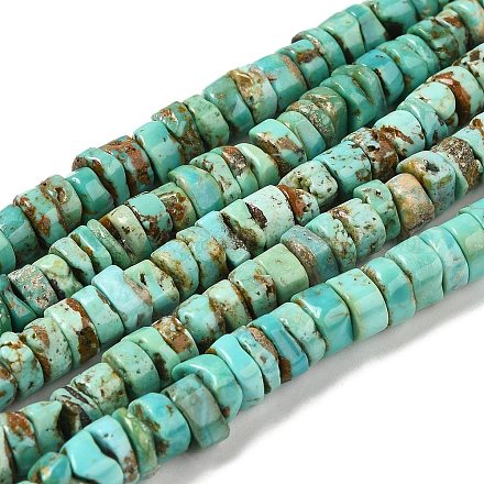 Chapelets de perles en turquoise naturelle G-P506-05B-1