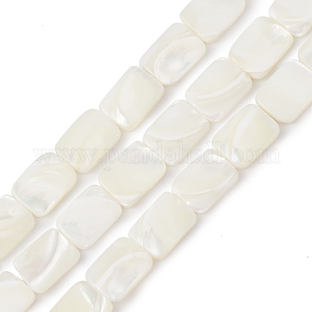 Chapelets de perles de coquille de trochid / trochus coquille BSHE-G033-01-1