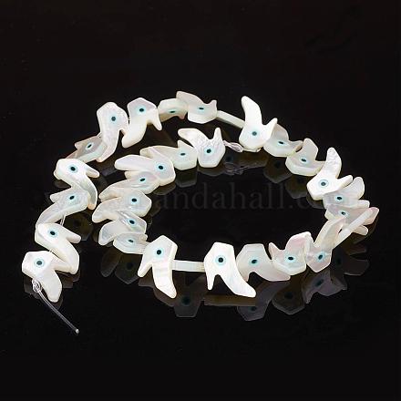 Natural Sea Shell Beads SSHEL-F293-47-1