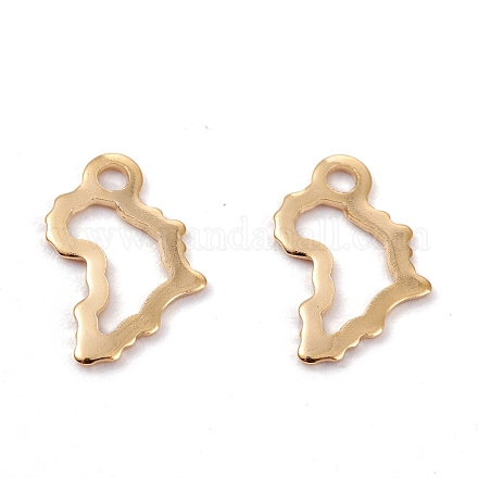 201 Stainless Steel Charms STAS-C017-15G-1