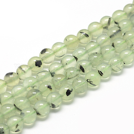 Chapelets de perles en préhnite naturelle G-R446-10mm-16-1